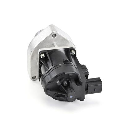 AGR-VENTIL DELPHI EG1063812B1 19