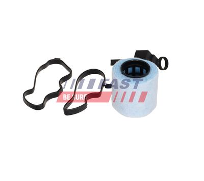 SEPARATOR ULEI VENTILATIE BLOC MOTOR FAST FT04337 13