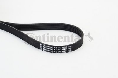 Pasek klinowy wielorowkowy CONTINENTAL CTAM 6PK1120