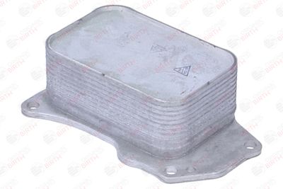 RADIATOR ULEI ULEI MOTOR BIRTH 80842 8