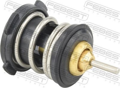 TERMOSTAT LICHID RACIRE