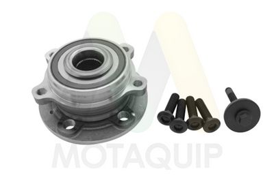 SET RULMENT ROATA MOTAQUIP LVBW1896