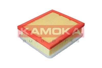 Air Filter F238001