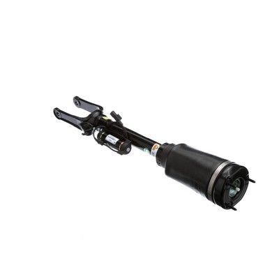 LUFTFEDERBEIN Arnott AS2792 31