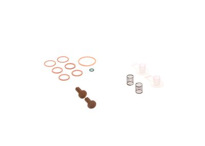 SET REPARATIE POMPA COMBUSTIBIL BOSCH 2447010004 20