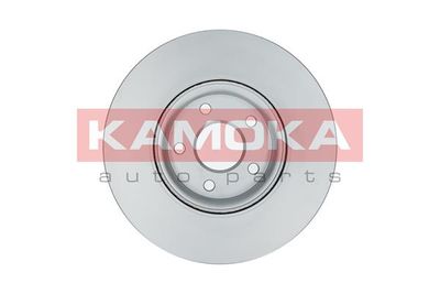 1031016 KAMOKA Тормозной диск