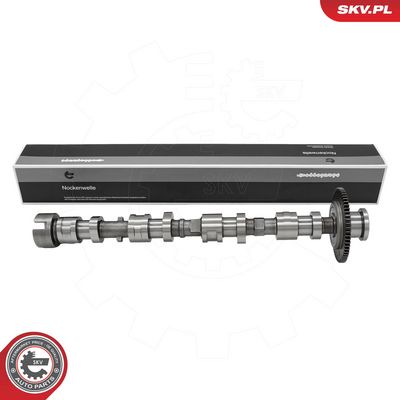 разпределителен вал ESEN SKV 80SKV064