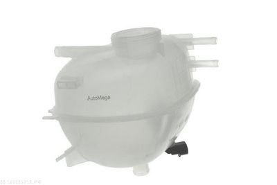 VAS DE EXPANSIUNE RACIRE