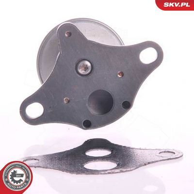 AGR-Ventil SKV 14SKV002