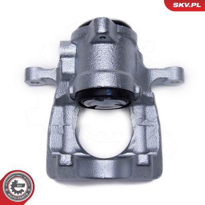 Brake Caliper 56SKV433