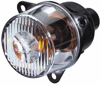 Blinker HELLA 2BA008 221-107