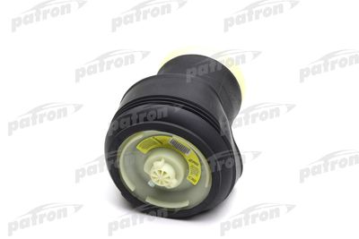 PATRON PAS1011 PATRON PAS1011