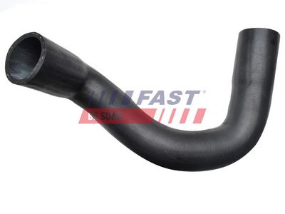 FURTUN EAR SUPRAALIMENTARE