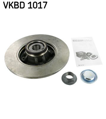 SKF VKBD 1017 Гальмівні диски 