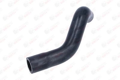 FURTUN ULEI BIRTH 56017 5