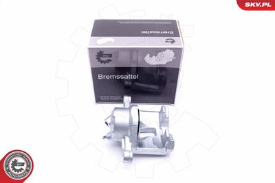 Brake Caliper 46SKV121