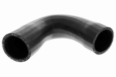 FURTUN EAR SUPRAALIMENTARE