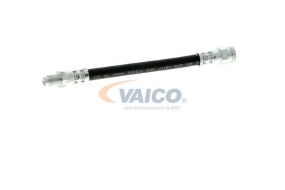 FURTUN FRANA VAICO V249644 47