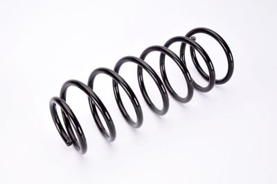 Spiraalveer Voor Links/Rechts past: DAEWOO LANOS 1.3/1.5/1.6 02.97-