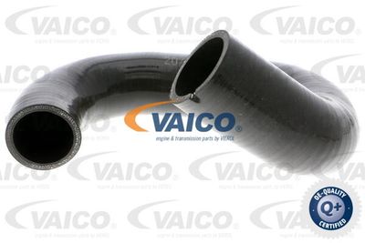 Трубка нагнетаемого воздуха VAICO V24-0769 для FIAT PANDA