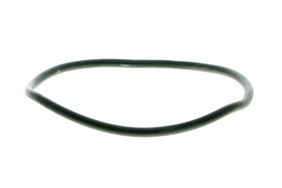 POMPă DE APă RăCIRE MOTOR VAICO V1050038 1