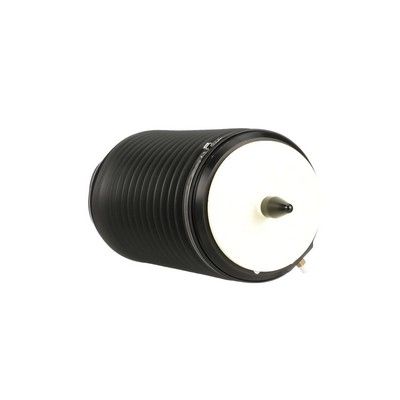 LUFTFEDER FAHRWERK Arnott A3295 8