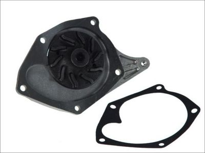 Water Pump, engine cooling D1R033TT