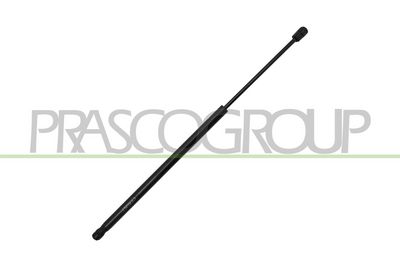 GASFEDER KOFFER-/LADERAUM