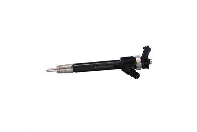 INJECTOR REMANTE 002003002242R 8