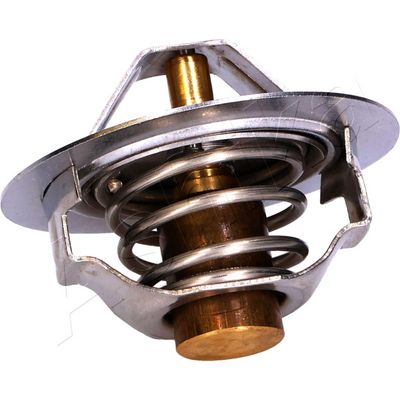 TERMOSTAT LICHID RACIRE