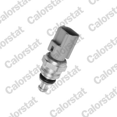 Sensor, coolant temperature WS3038