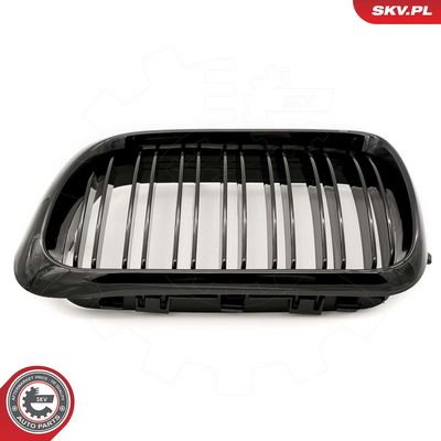 GRILA RADIATOR ESEN SKV 66SKV054 6