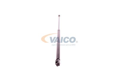 GASFEDER KOFFER-/LADERAUM VAICO V250232 49