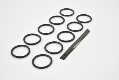 GARNITURA FLANSA LICHID RACIRE FEBEST RINGWH018PCS10 44