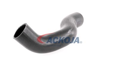 FURTUN EAR SUPRAALIMENTARE ACKOJA A380307 28