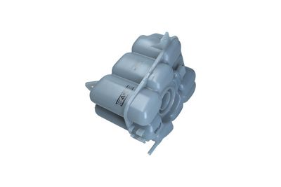 VAS DE EXPANSIUNE RACIRE