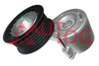 Napinacz, pasek klinowy wielorowkowy AUTLOG RT1967