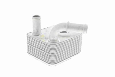 ÖLKüHLER MOTORöL VEMO V25600027 4