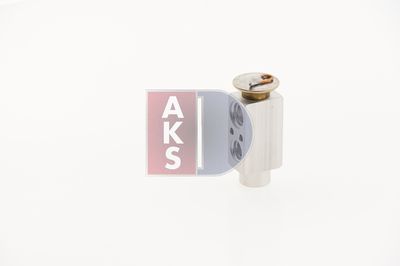 EXPANSIONSVENTIL KLIMAANLAGE AKS DASIS 840560N 9
