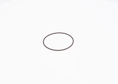 O-ring (past op 0 445 010 … 0 445 020 ...)