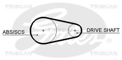 CUREA DE DISTRIBUTIE