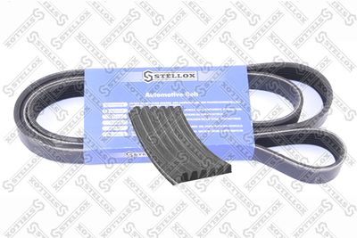 STELLOX 06-01352-SX Ремень генератора для FORD FOCUS II седан (DB_, FCH, DH)
