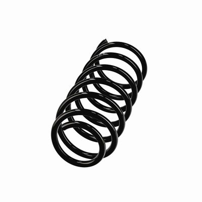 ARC SPIRAL EIBACH R10971 14