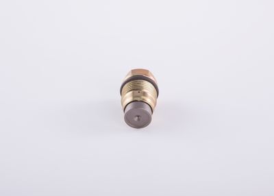 Bosch Pressure Relief Valve, common rail system F 00R 000 741