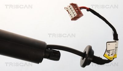 Plynárenská vzpera (pneumatická pružina), zavazadlový priestor TRISCAN 8710 14302