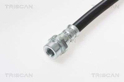 FURTUN FRANA TRISCAN 815016352 1