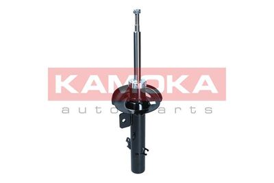 Shock Absorber 2001282