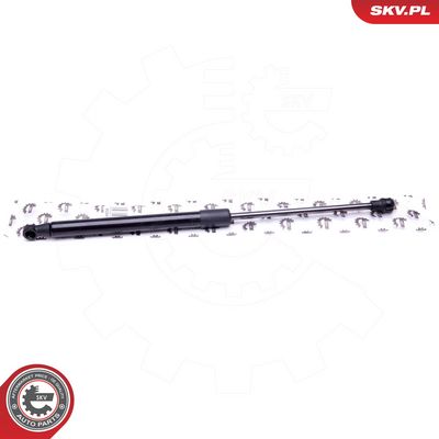 Dujinė spyruoklė, gaubtas