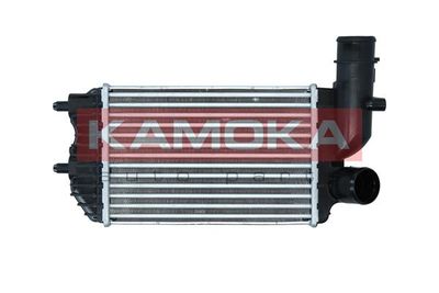 Charge Air Cooler 7750117