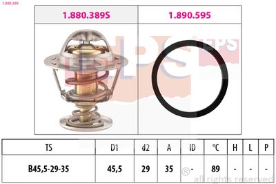 Termostat, środek chłodzący EPS 1.880.389